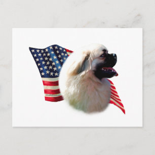 tibetische Flagge Postkarte