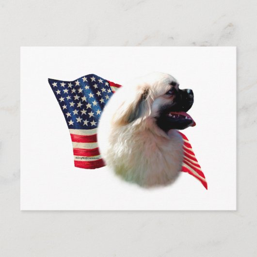 tibetische Flagge Postkarte (Vorderseite)