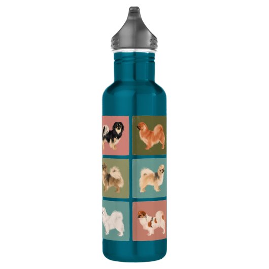 Tibetische Spanische Wasserflasche (Aquamarin) Edelstahlflasche (Rechts)