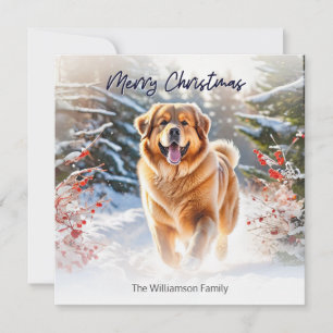 Tibetischer Mastiff Hund in Schneeszene frohe Weih Feiertagskarte