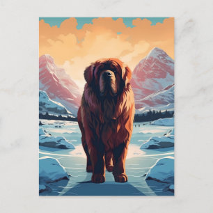 Tibetischer Mastiff in schneebedeckten Bergen Postkarte