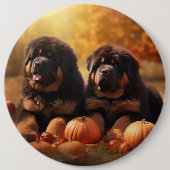 Tibetischer Mastiff Welpe Herbst Kürbis Button (Vorderseite)