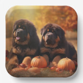 Tibetischer Mastiff Welpe Herbst Kürbis Pappteller (Vorderseite)