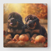 Tibetischer Mastiff Welpe Herbst Kürbis Quadratische Wanduhr (Vorderseite)