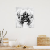 Tibetischer Spaniel Dog Potrait Poster (Küche)