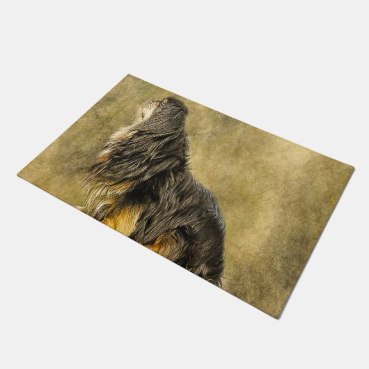 Tibetischer Spaniel. Fußmatte (Schrägansicht)