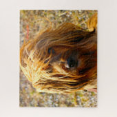 Tibetischer Terrier Dog Jigsaws. Puzzle (Vertikal)