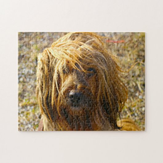 Tibetischer Terrier Dog Jigsaws. Puzzle (Horizontal)