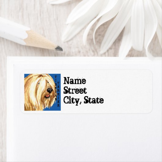 Tibetischer Terrier-Farbblock (Insitu)