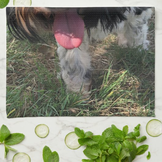 Tibetischer Terrier Teektuch Geschirrtuch (Gefaltet)