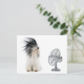 Tibetischer Terrier und sein Fan Postkarte (Stehend Vorderseite)