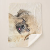 Tibetisches spanisches Gemälde - Niedliche Hundeku Sherpadecke (Vorderseite)