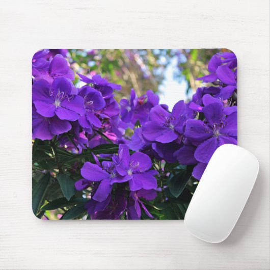 Tibouchina Blumen Mousepad (Mit Mouse)