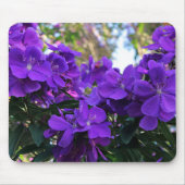 Tibouchina Blumen Mousepad (Vorne)