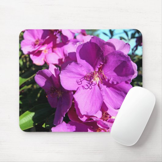 Tibouchina Blumen Mousepad (Mit Mouse)