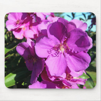 Tibouchina Blumen Mousepad