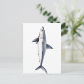 Tiburon Cailon Postkarte (Stehend Vorderseite)