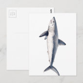 Tiburon Cailon Postkarte (Vorne/Hinten)