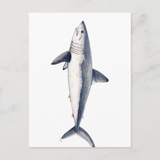 Tiburon Cailon Postkarte (Vorderseite)