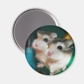 Tic und Tac - Magnet (Vorderseite/Rückseite)