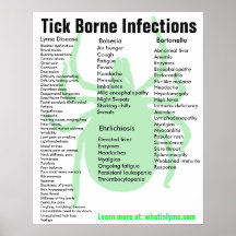Tick Borne Infektionen Symptome Lernposter