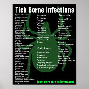 Tick Borne Infektionen Symptome Lernposter Poster