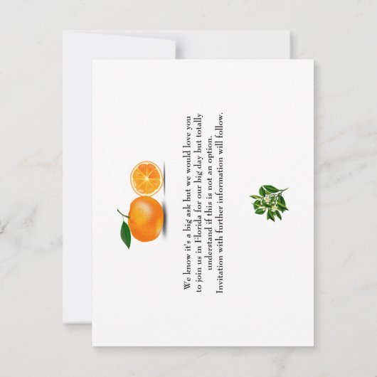 Ticket Boarding Pass Wedding Zielort Florida Save The Date (Rückseite)