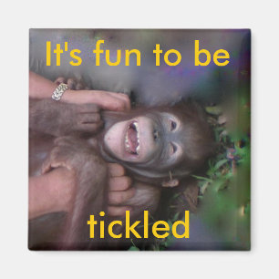 Tickle mich Magnet