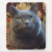 Tickles Mousepad (Vorne)