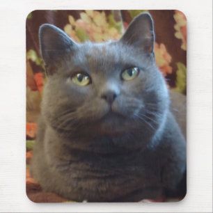Tickles Mousepad