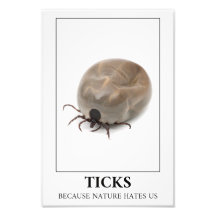 Ticks, weil die Natur uns hasst - Parasitenspass
