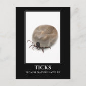 Ticks, weil die Natur uns hasst - Parasitenspass Postkarte (Vorderseite)