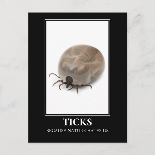 Ticks, weil die Natur uns hasst - Parasitenspass Postkarte (Vorderseite)