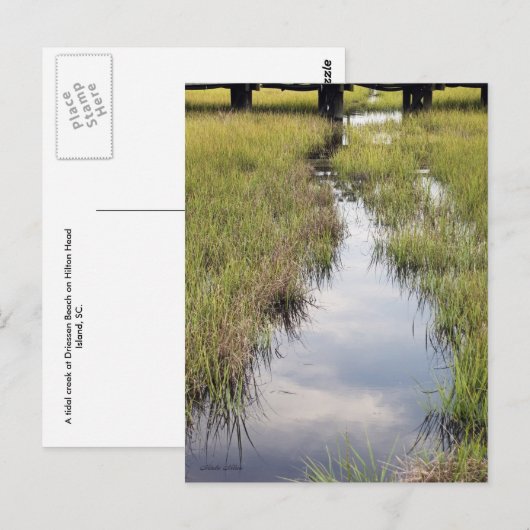 Tidal Creek Postkarte (Vorne/Hinten)