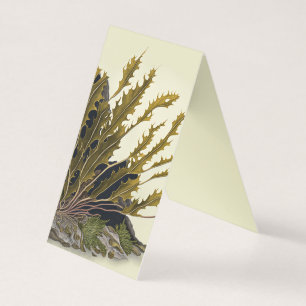 Tidal Fronds