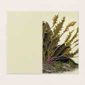 Tidal Fronds (Außenseite Aufgefaltet)