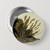 Tidal Fronds Button (Vorne & Hinten)