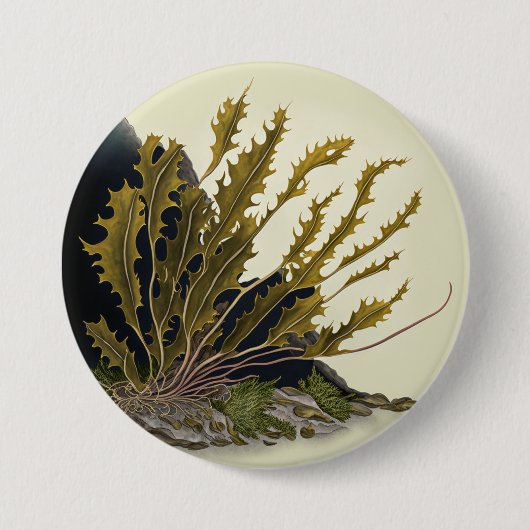 Tidal Fronds Button (Vorderseite)