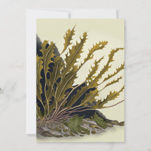 Tidal Fronds Dankeskarte
