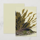 Tidal Fronds Dankeskarte (Vorne/Hinten)