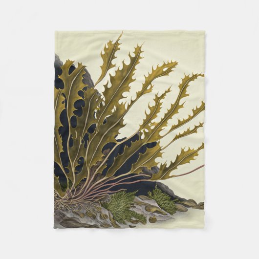 Tidal Fronds Fleecedecke (Vorderseite)