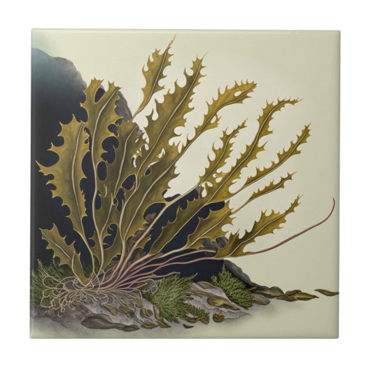 Tidal Fronds Fliese (Vorderseite)