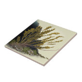Tidal Fronds Fliese (Seite)