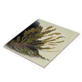 Tidal Fronds Fliese (Seite)