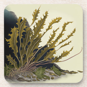 Tidal Fronds Getränkeuntersetzer