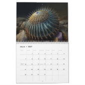 Tidal Fronds Kalender (Mär 2027)