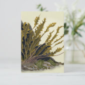 Tidal Fronds Karte (Stehend Vorderseite)