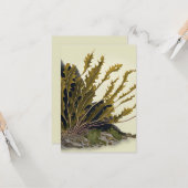Tidal Fronds Karte (Vorderseite/Rückseite Beispiel)