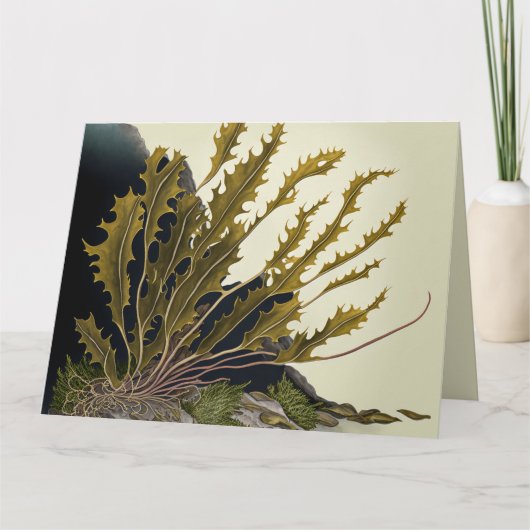 Tidal Fronds Karte (Vorderseite)