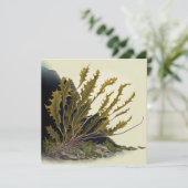 Tidal Fronds Karte (Stehend Vorderseite)